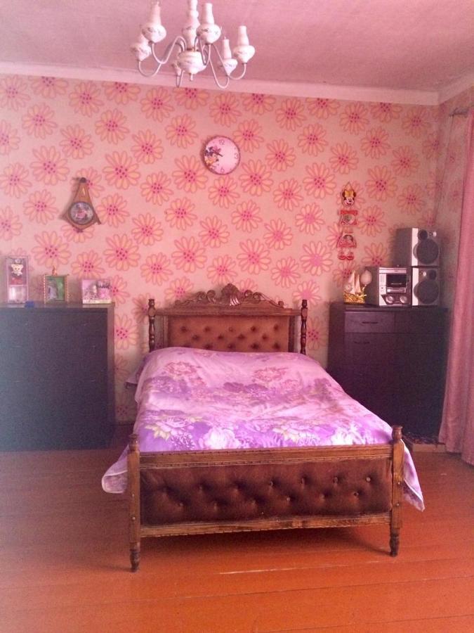 Hotel Kazbegi 1 Екстер'єр фото